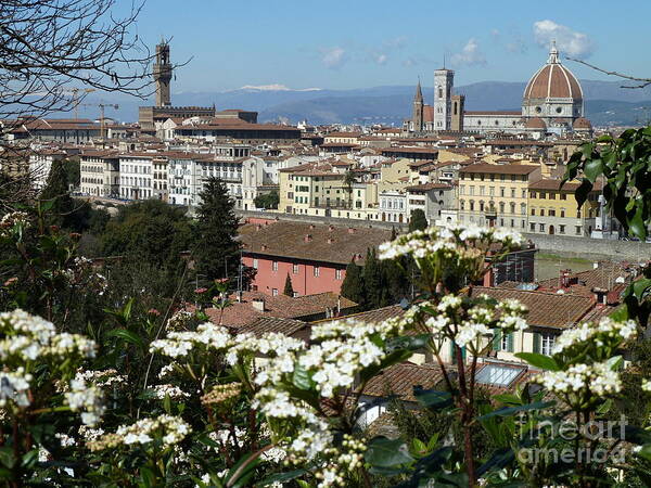 Travel Poster featuring the photograph Spring in Florence by Anna and Sergey