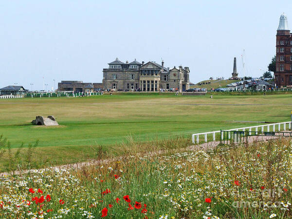 Wildflowers Poster featuring the photograph St Andrews Royal and Ancient Golf Course by Phil Banks