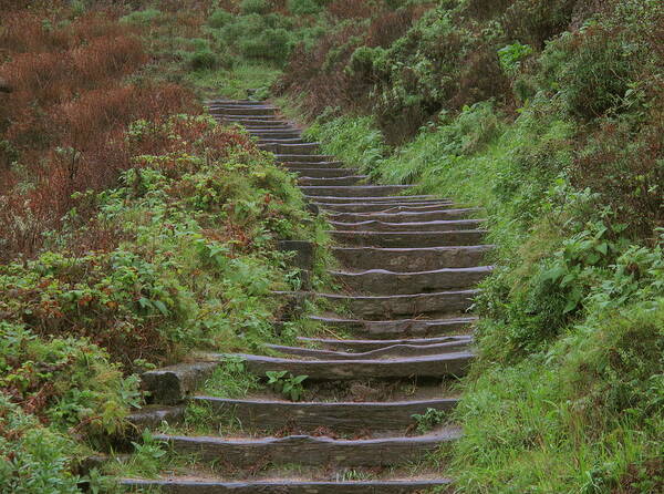 Stairway Poster featuring the photograph Stairway To Heaven by Derek Dean