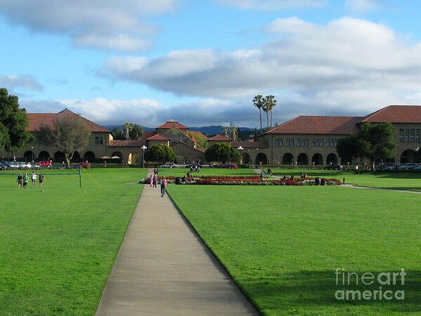 Stanford University Poster featuring the photograph Stanford University by Mini Arora