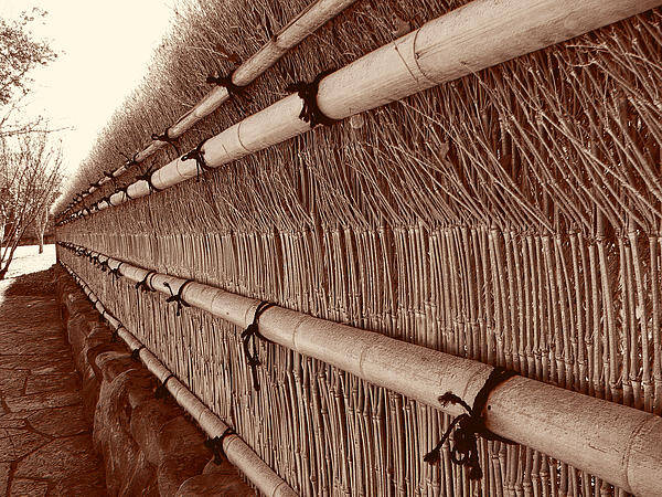 Fence Poster featuring the photograph Steadfast by Wendy J St Christopher