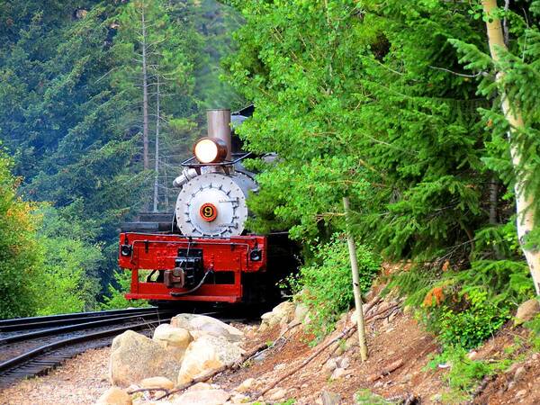 Train Poster featuring the photograph Steam Engine by Connor Beekman