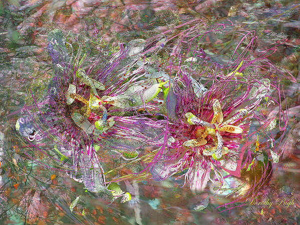 Flowers Poster featuring the digital art Storm in the Garden by Dorothy Pugh