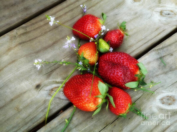 Red Poster featuring the photograph Strawberrries by Valerie Reeves