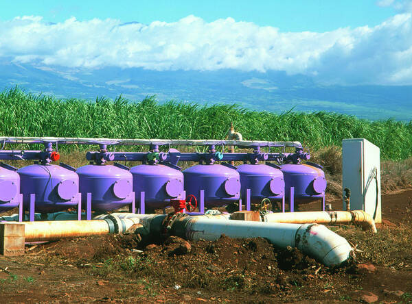 Sugar Cane Poster featuring the photograph Sugar Cane Water Distribution System by Simon Fraser/science Photo Library