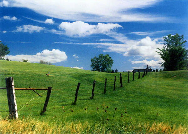 Summer Landscape Poster featuring the photograph Summer Landscape by Steve Karol