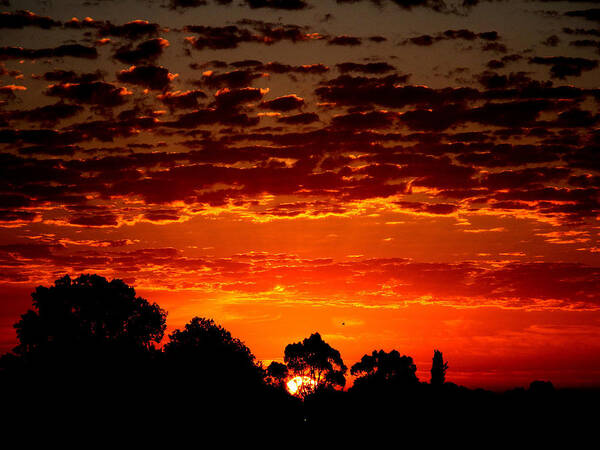 Landscape Poster featuring the photograph Summer Sunset by Mark Blauhoefer