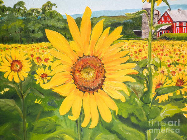 Sunflower Poster featuring the painting Sunflowers - Red Barn - Pennsylvania by Jan Dappen