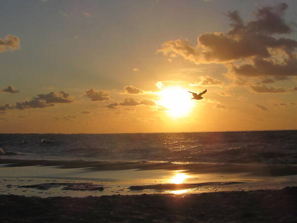 Beach Poster featuring the photograph Sunset on the Bay by Vikki Angel