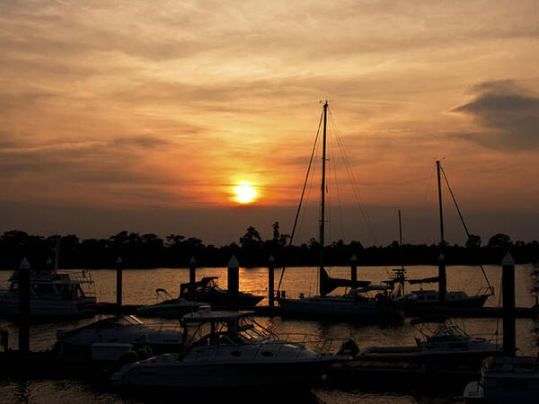 Marina Poster featuring the photograph Sunset on the Waccamaw Marina by Sandra Anderson