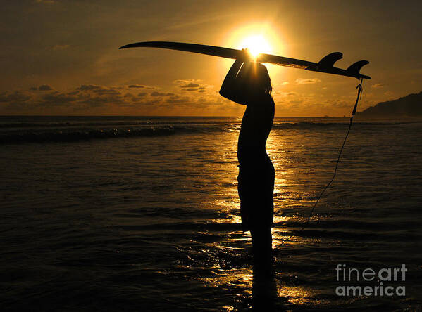 Athlete Poster featuring the photograph Sunset Surfer Corcovado Costa Rica by Bob Christopher