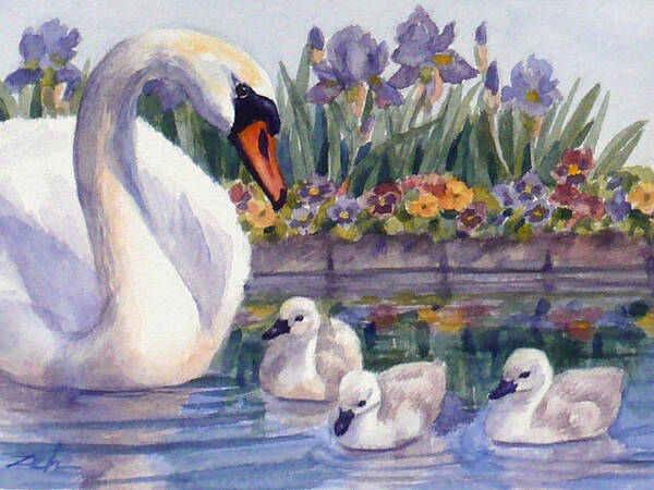 Swans Poster featuring the painting Mother Swan and Cygnets by Janet Zeh