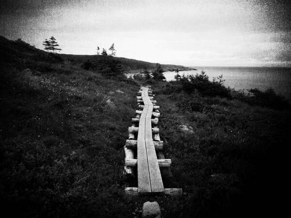 Sea Poster featuring the photograph Take Me to the Sea - East Coast Trail by Zinvolle Art
