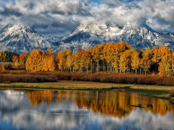 Oxbow Poster featuring the photograph Teton Autumn by Kathleen Bishop