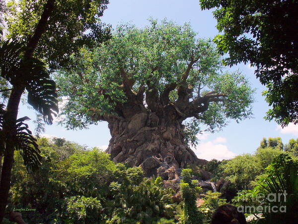 Animal Kingdom Poster featuring the photograph The Amazing Tree of Life by Lingfai Leung