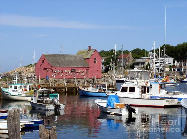 Most Photographed Building Rockport Ma Poster featuring the photograph The Boat Yard at Rockport by Mary Lou Chmura