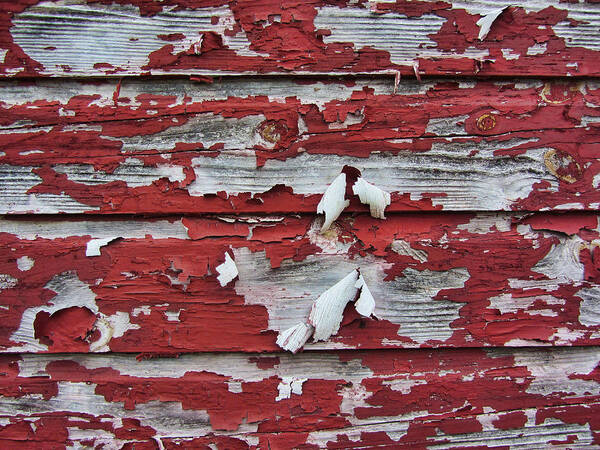 Barn Poster featuring the photograph The Broad Side of a Barn by Kathy Clark