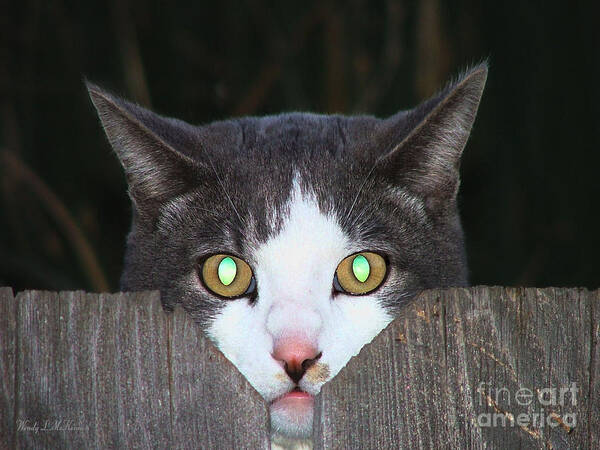 Cat Canvas Prints Poster featuring the photograph The Cat's MEOW by Wendy McKennon