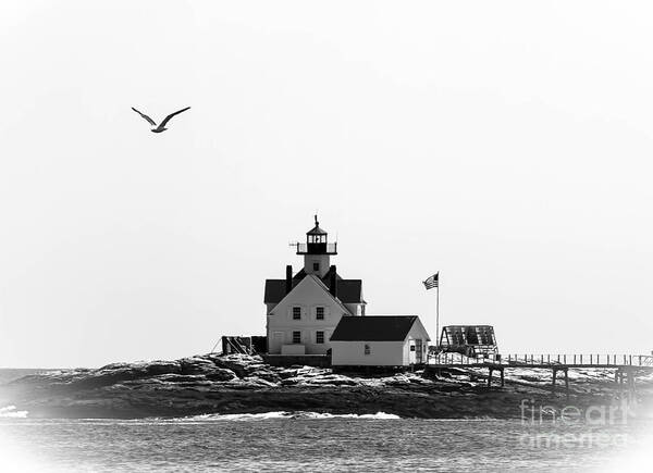 Lighthouse Poster featuring the photograph The Cuckolds Lighthouse by Brenda Giasson