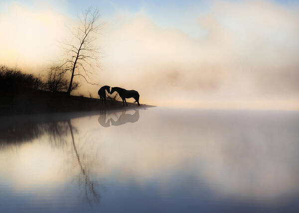 Equine Poster featuring the photograph The Lake Shore by Ron McGinnis