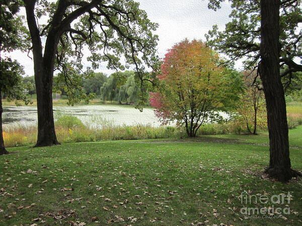 Leaves Poster featuring the photograph The Look of Autumn by Kathie Chicoine