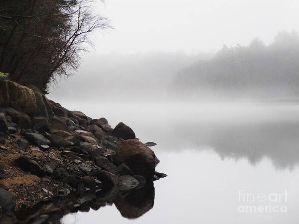 Lynn Woods Poster featuring the photograph The Mist by Dana DiPasquale