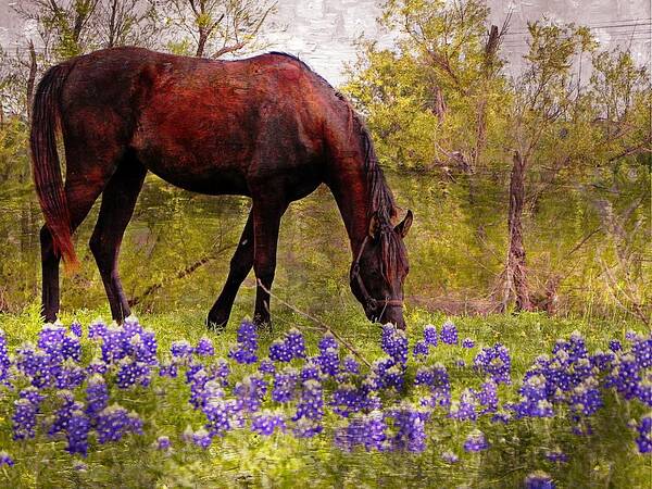 Horse Poster featuring the photograph The Pasture by Kathy Churchman