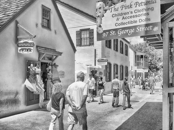 St. George Street Poster featuring the photograph The Pink Petunia by Howard Salmon