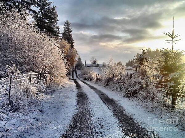 Landscape Poster featuring the photograph The Way Home by Rory Siegel