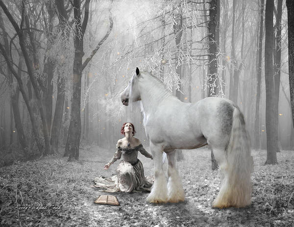Horse Poster featuring the photograph The White Fairytale by Terry Kirkland Cook