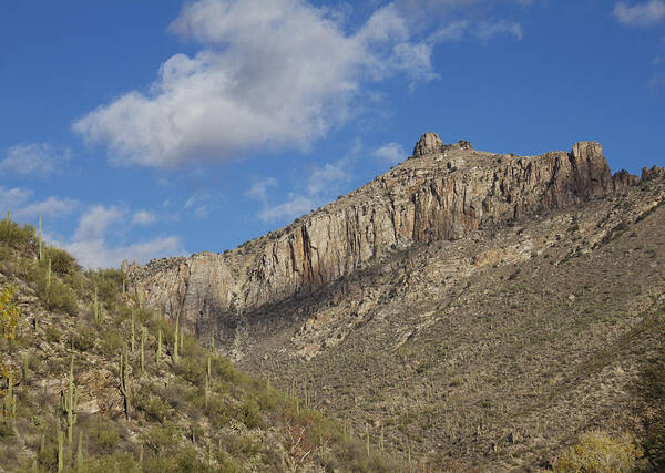 Canyon Poster featuring the photograph Thimble peak in Sabino Canyon by Elvira Butler