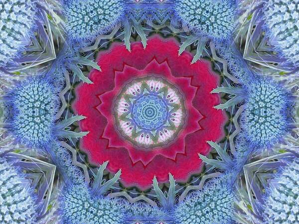 Mandalas Poster featuring the digital art Thistle Portal Mandala by Diane Lynn Hix