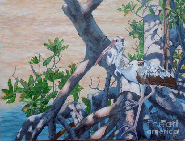 Ibis Poster featuring the painting Three Critters by Sandra Williams