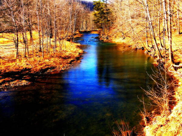 Town Creek Poster featuring the photograph Town Creek by Mary Beth Landis