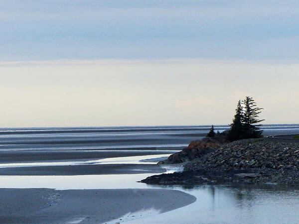 Seascape Poster featuring the photograph Turnagain Arm by Carl Sheffer