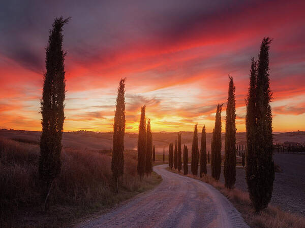 Tuscany Poster featuring the photograph Tuscany Sunset by Rostovskiy Anton