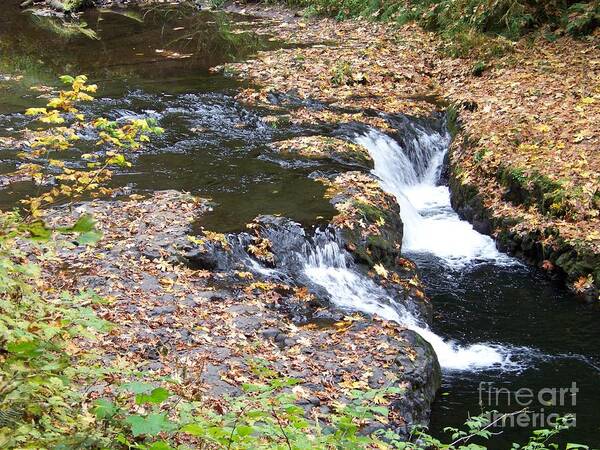 Twin Falls Poster featuring the photograph Twin Falls by Charles Robinson