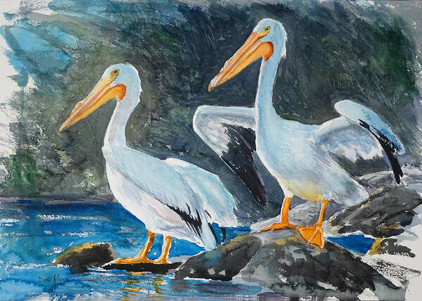 White Pelicans Poster featuring the painting Twin Pelicans by Daniel Adams by Daniel Adams