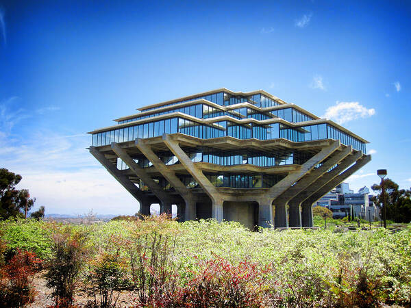 Geisel Poster featuring the photograph UCSD Geisel Library by Nancy Ingersoll