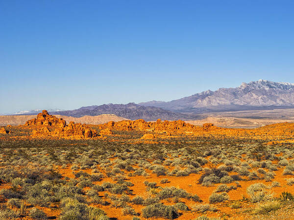 America Poster featuring the photograph Valley of Fire Landscape I by Marianne Campolongo