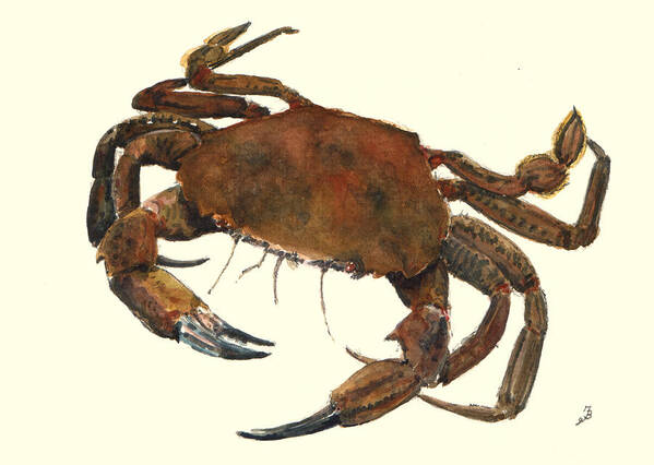 Velvet Poster featuring the painting Velvet crab by Juan Bosco