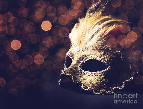 Mask Poster featuring the photograph Venetian Mask by Jelena Jovanovic