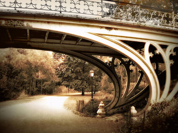 Gothic Poster featuring the photograph Vintage Gothic Bridge by Jessica Jenney