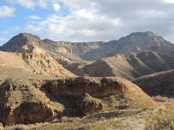 Desert Landscape Poster featuring the photograph Virgin River Gorge AZ 2122 by Andrew Chambers