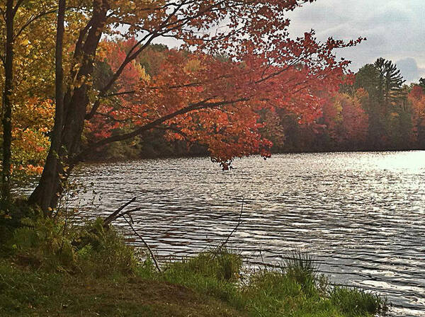 Landscape Poster featuring the photograph Virginia Landscape Art by Digital Art Cafe