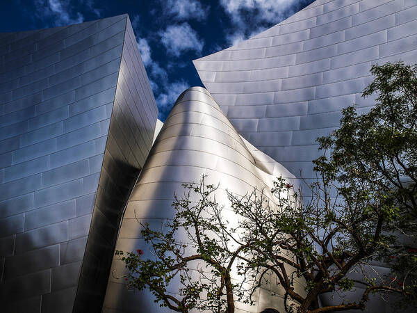 Rebecca Dru Photography Poster featuring the photograph Walt Disney Concert Hall #1 by Rebecca Dru