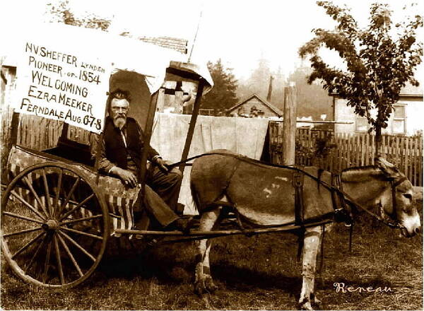 Pioneer Poster featuring the photograph Washington State Pioneer by A L Sadie Reneau