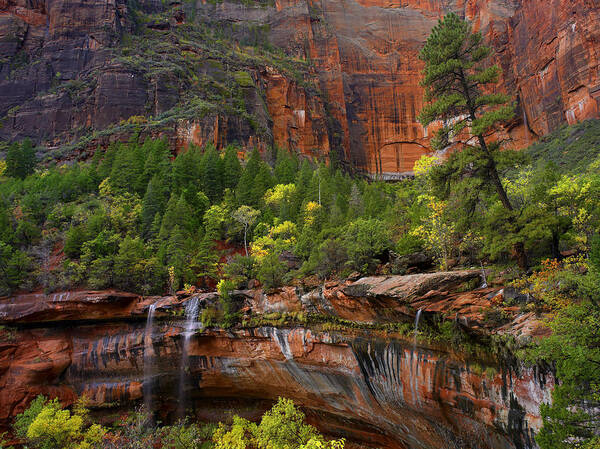 Feb0514 Poster featuring the photograph Waterfalls At Emerald Pools Zion Np Utah by Tim Fitzharris