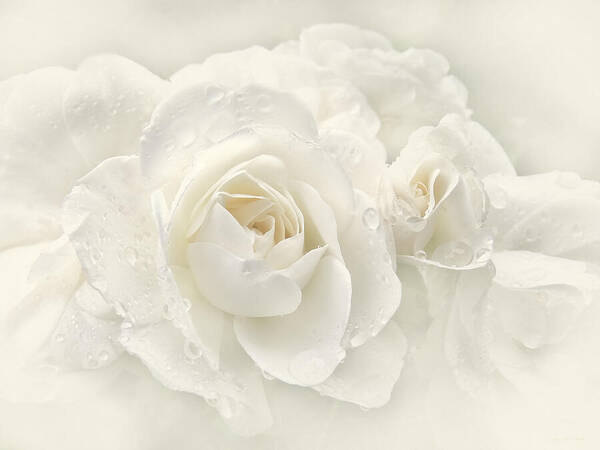 Rose Poster featuring the photograph Wedding Day White Roses by Jennie Marie Schell