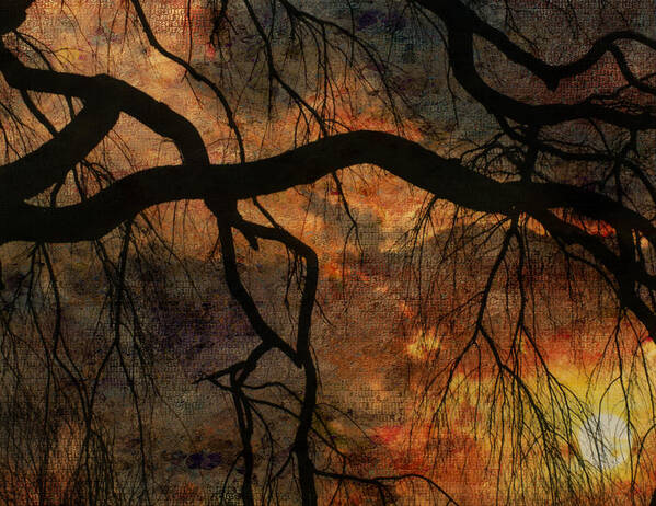 Weeping Poster featuring the digital art Weeping willow sunset by Bruce Rolff